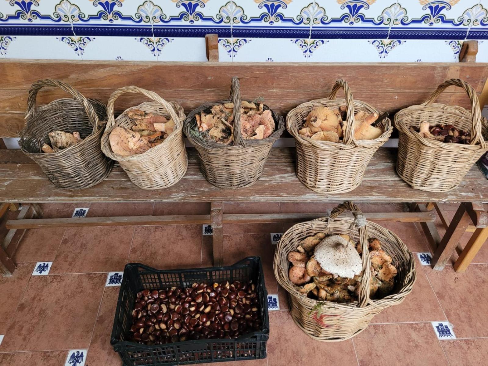 Casa Pozo Tarama Villa Casavieja Екстериор снимка